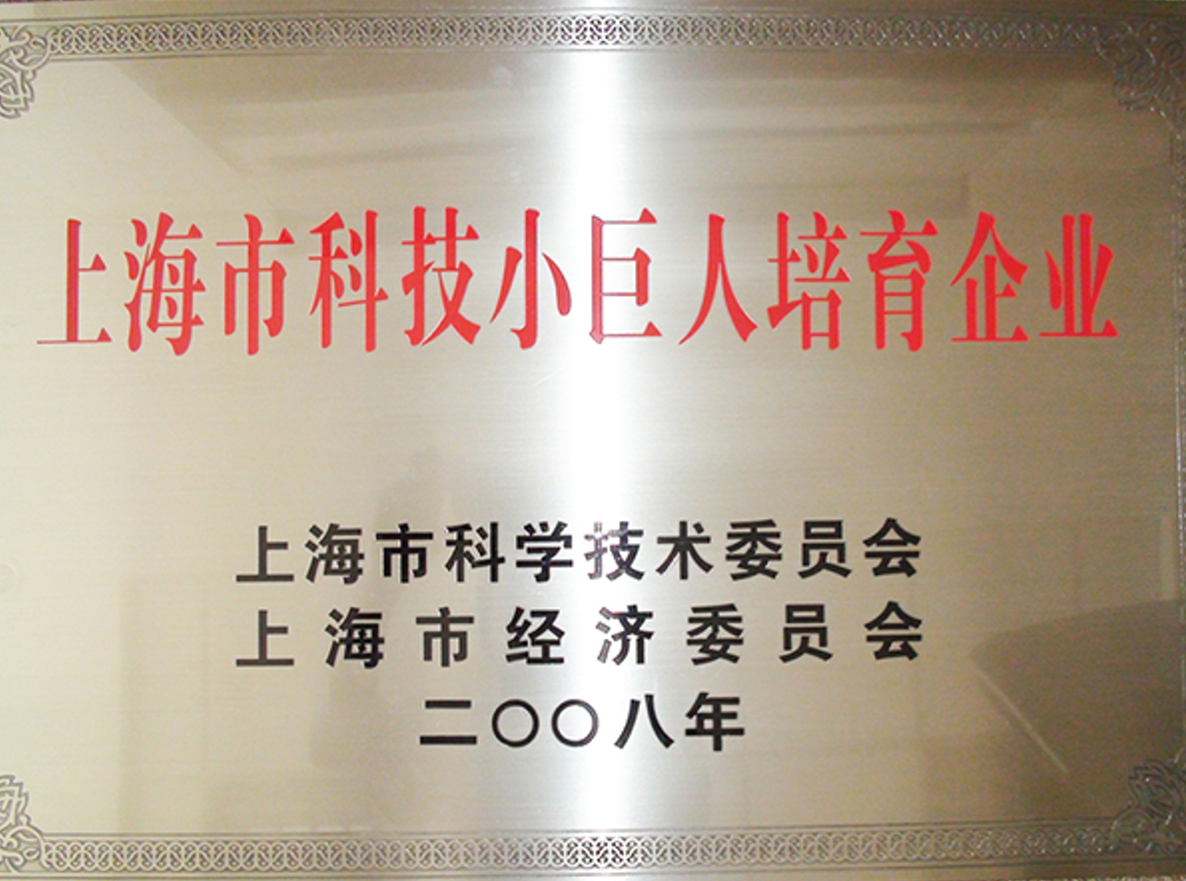 In 2008, Shanghai municipal science and technology giant cultivating Enterprise